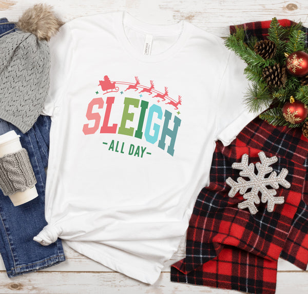 SLEIGH ALL DAY T-SHIRT (COLORED)