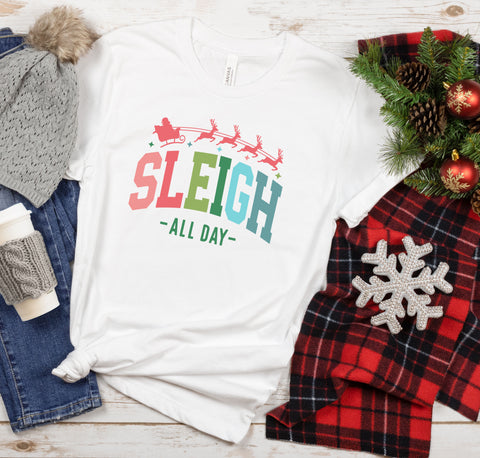 SLEIGH ALL DAY T-SHIRT (COLORED)