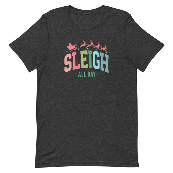SLEIGH ALL DAY T-SHIRT (COLORED)